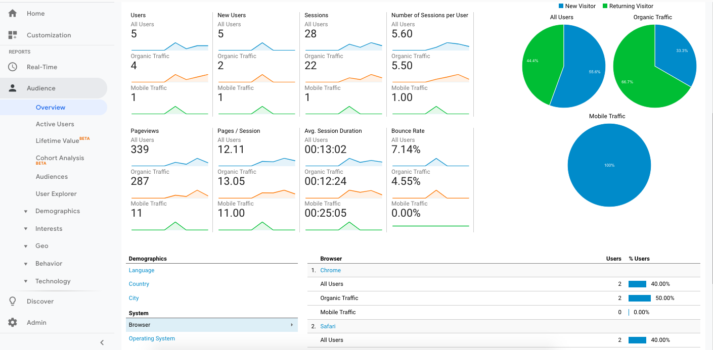 Visualizzazione delle statistiche del pubblico in Google Analytics