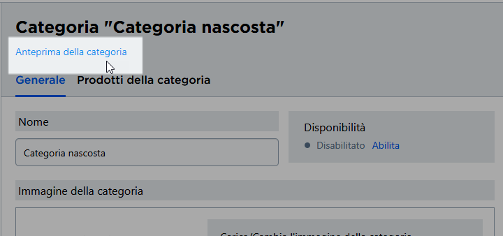 anteprima di categoria nascosta