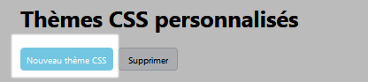 Nouveau thème CSS