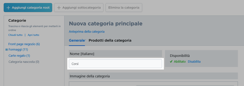 Inserire titolo della categoria