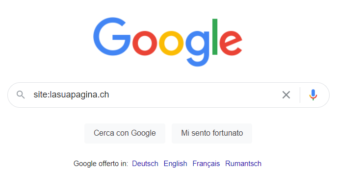 Verifica dell’indicizzazione dello shop su Google