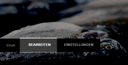 Im Squarespace auf Bearbeiten klicken