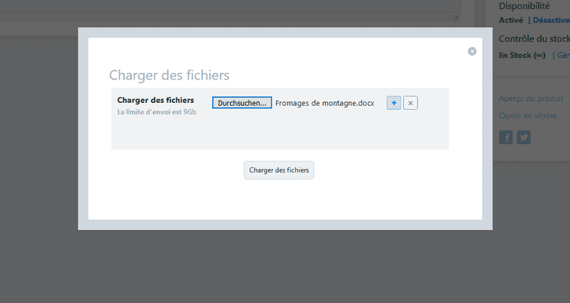charger fichier 2